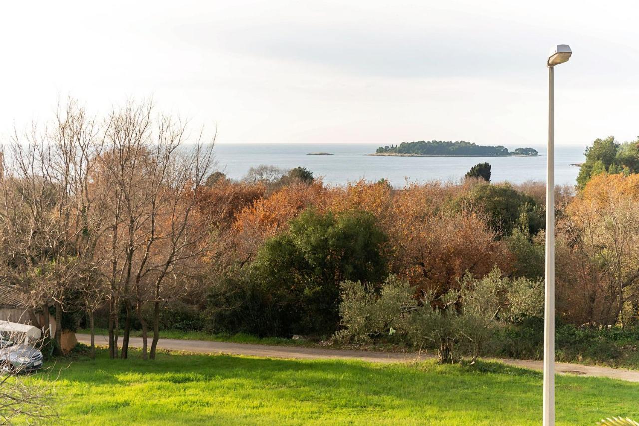 Apartments Pilicari (Adults Only) Rovinj Extérieur photo
